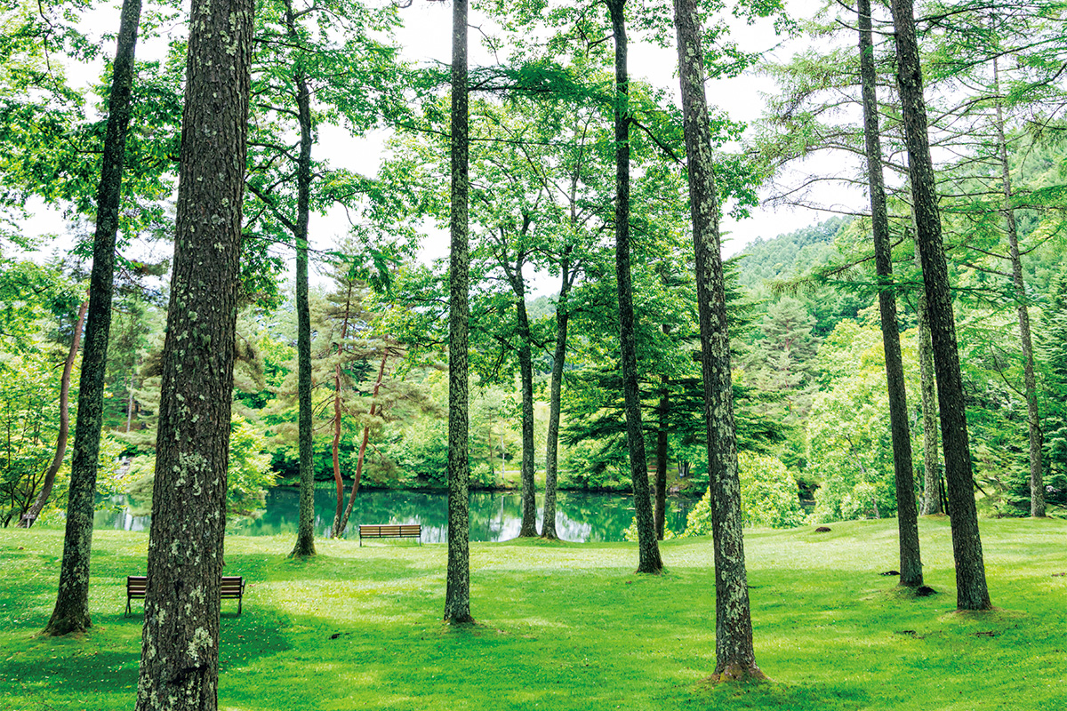 <small>長野・茅野市《東急リゾートタウン蓼科》</small><br>体感型サステイナブルリゾートで<br>暮らしの新しい循環に触れる①