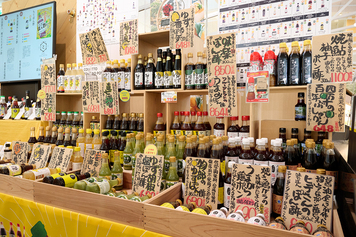 酢みかんの王国・高知で選ぶ<br>「ポン酢」12選<br><small>｜高知の郷土料理を訪ねて④</small>